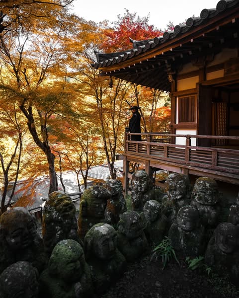 Autumn Leaf