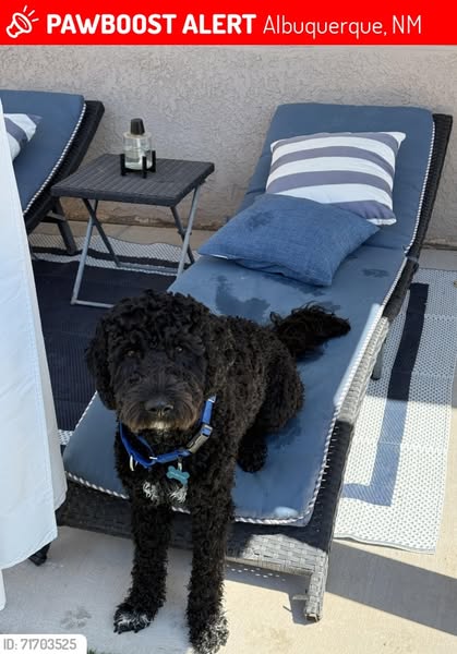 Pet Door