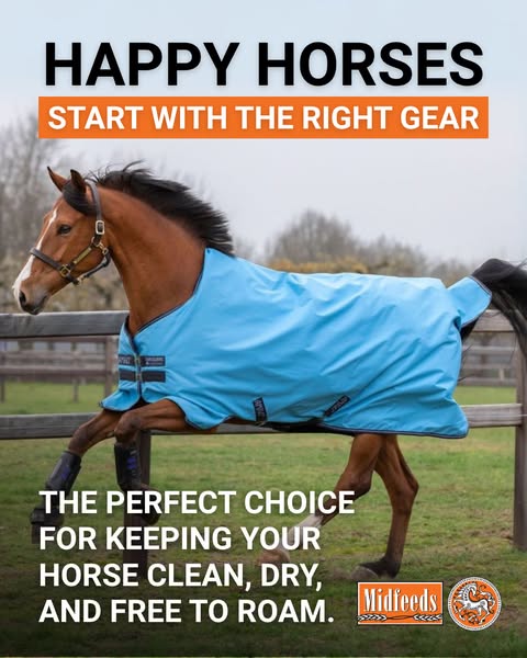 Shop for Horse Tack