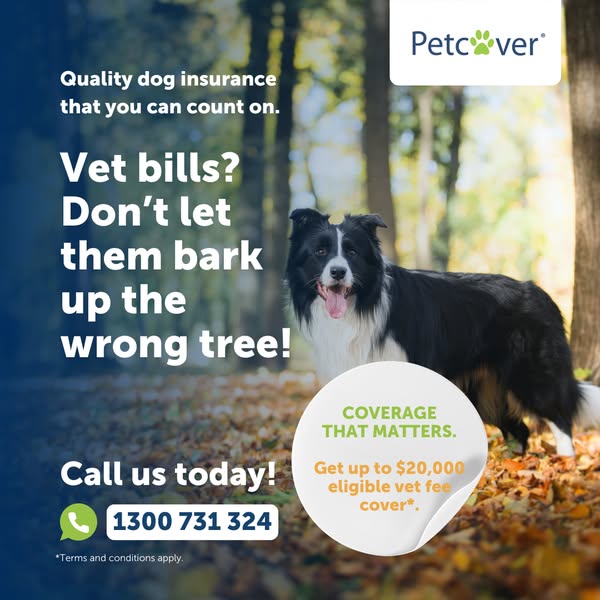 Quality bark