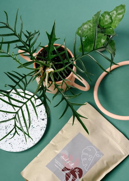 Curated product selection