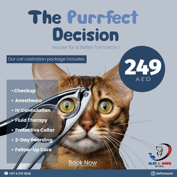 Reliable veterinary