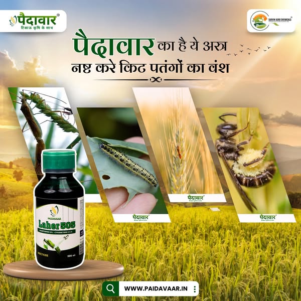 insecticide