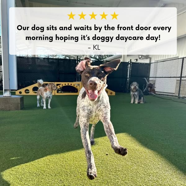 daycare