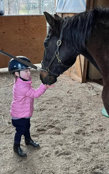 Safe horseback
