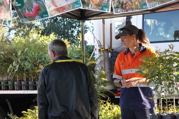 Eco-friendly market