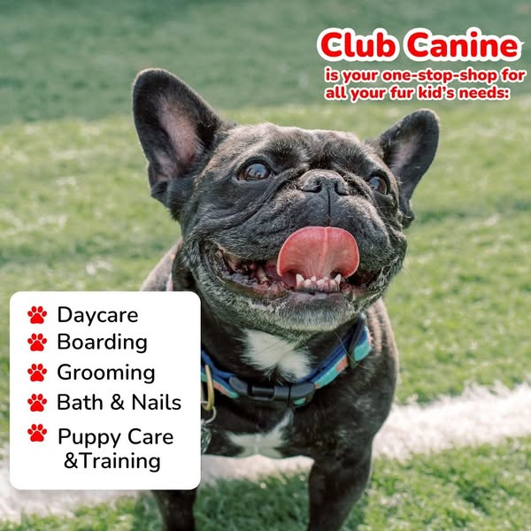 Shop for Pet Lovers