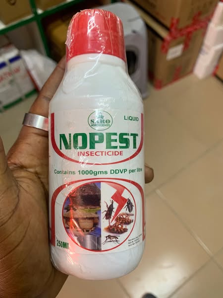 insecticide