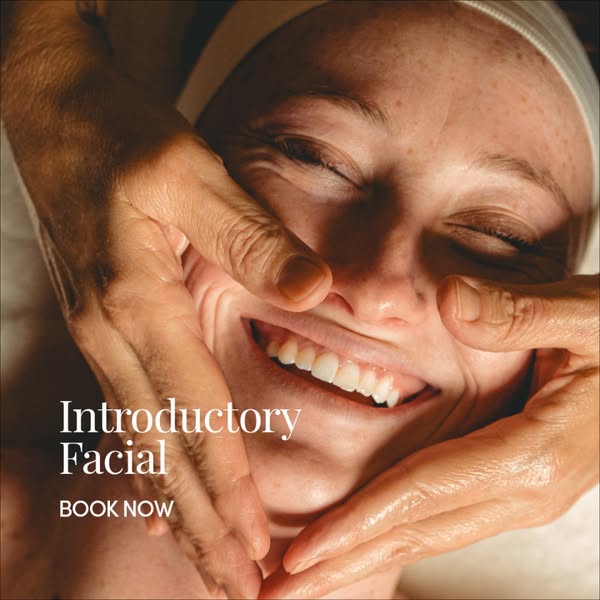 introductory