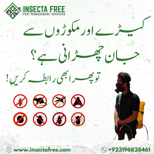 Eco-friendly inspection