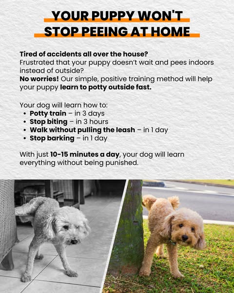 Simple leash
