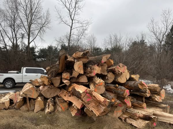 firewood