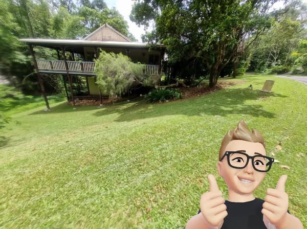 lawn