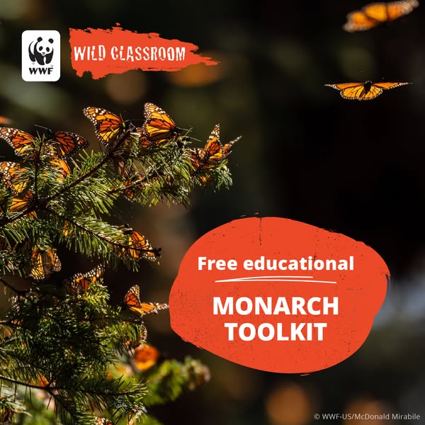 Shop for educational resources