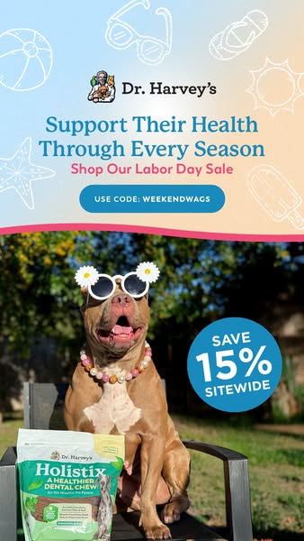 Shop for IT support