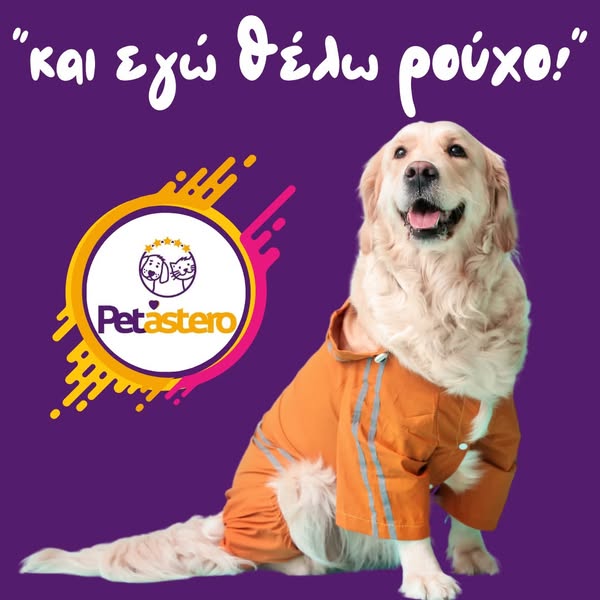 BB Pet