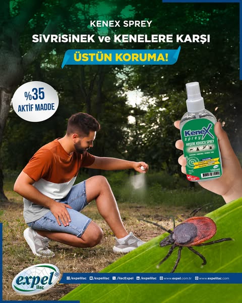 insecticide